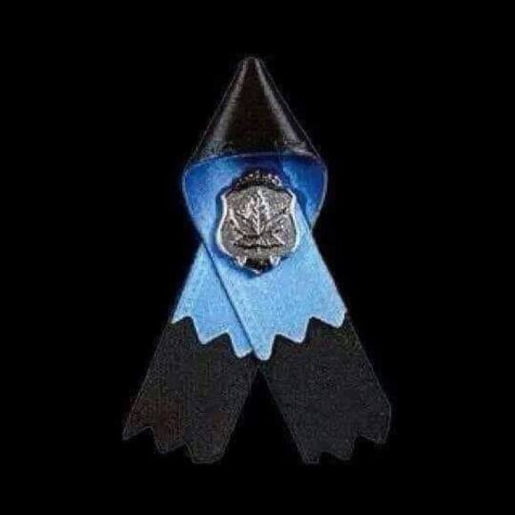 Meet your Posher, Anne - Picture 1 of 1